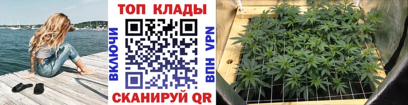 Где можно купить наркотики Усмань Альфа ПВП  Марихуана  Меф  Гашиш 